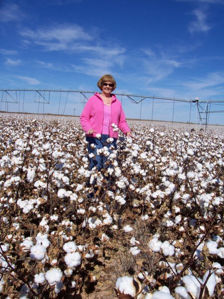 Judy there in tall cotton

