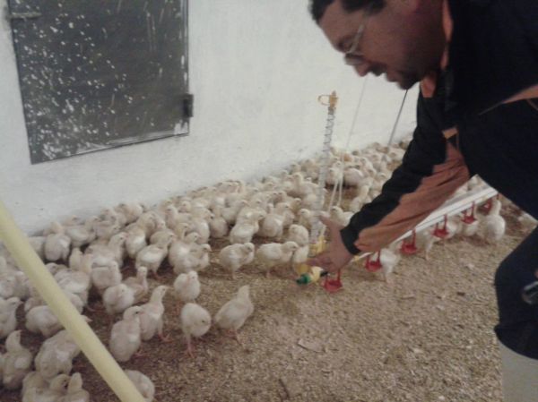 GMX units installed on water lines at a poultry farm in Tunisia.
GMX units installed on water lines at a poultry farm in Tunisia.
