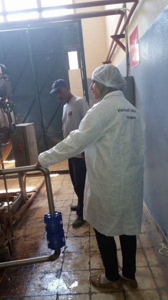 GMX Model 848s installed on a steam boiler in Tunisia
GMX Model 848s installed on a steam boiler in Tunisia. The units will help control the scale build up in the boiler, thus making the boiler more efficient. Less chemical use when cleaning it.
Keywords: Commercial, Tunisia