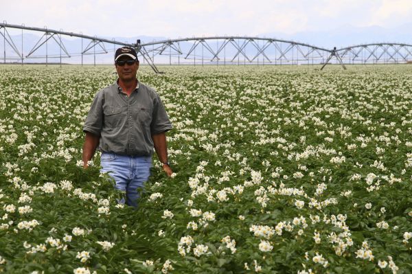 Irrigation Treated with GMX Units on Potato Fields
Irrigation Treated with GMX Units on Potato Fields In the San Luis Valley of Colorado. 
Keywords: Agriculture;Irrigation