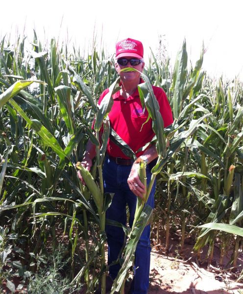 GMX units on spray rigs
Keywords: Agriculture;Irrigation