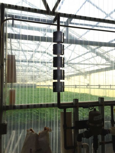 GMX Units On Greenhouse.
GMX Units On Greenhouse. Installing the units on the main feed line. By doing this, as the water goes through the magnetic field it keeps the minerals in suspension and reduces the surface tension of the water. Thus, the plants better absorb the water and their growth is enhanced.
Keywords: Agriculture
